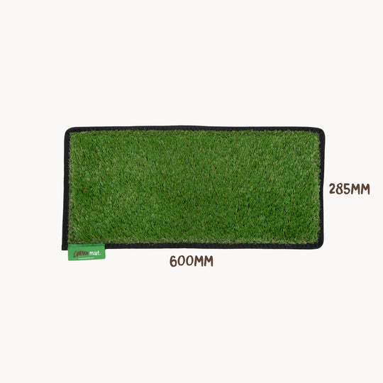 #colour_green