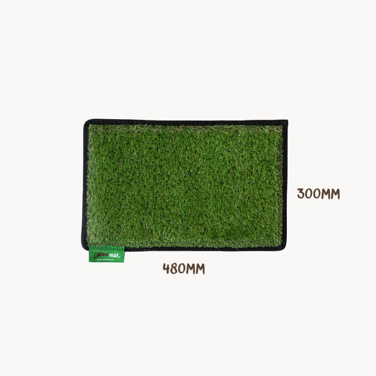 #colour_green
