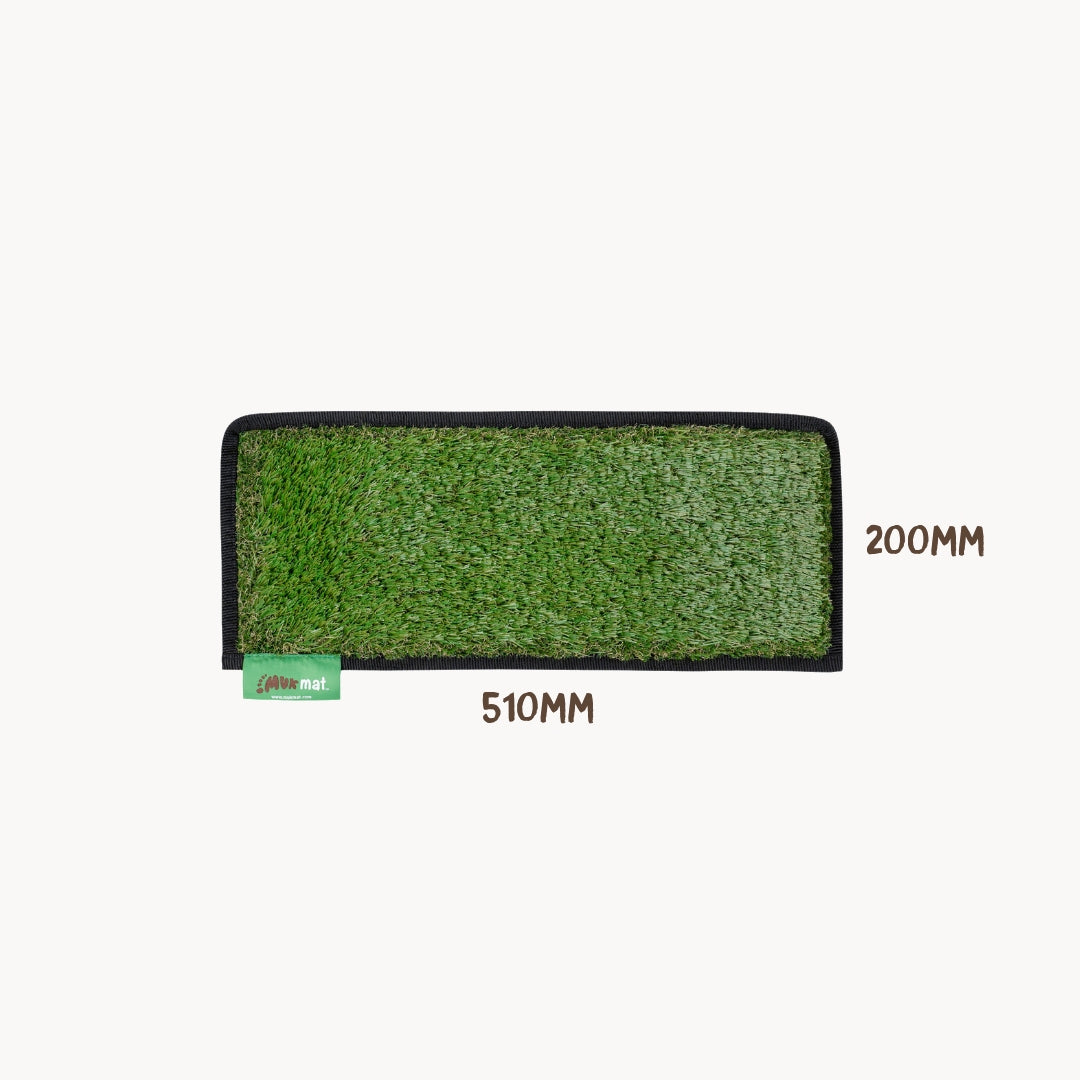 #colour_green