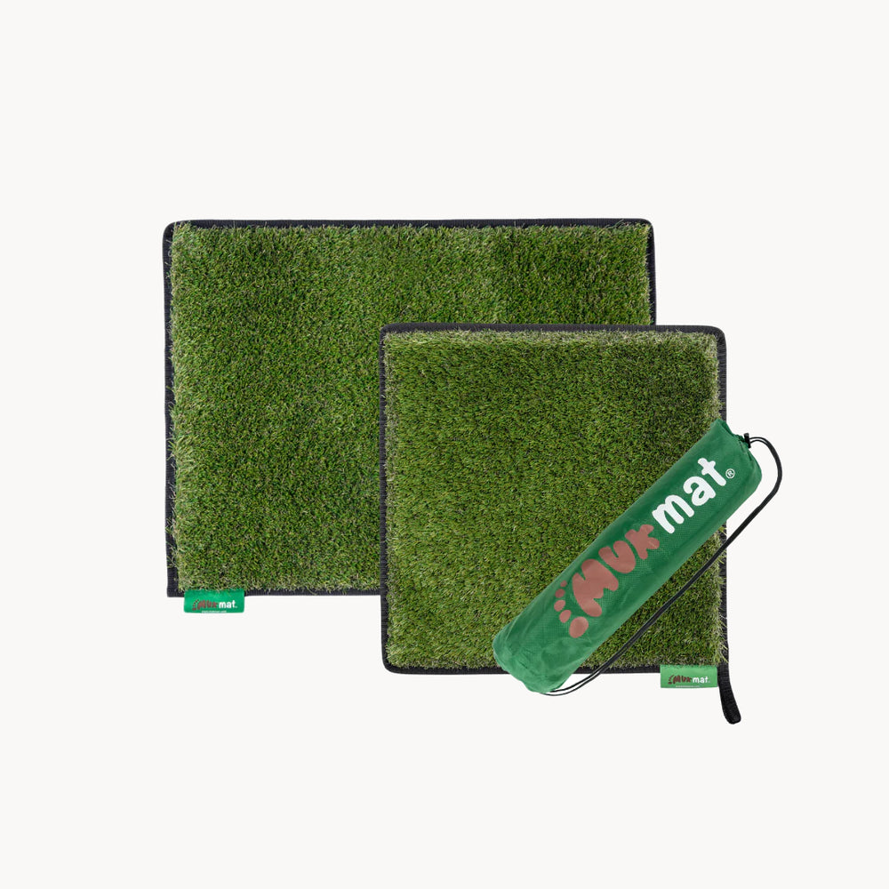 #colour_green
