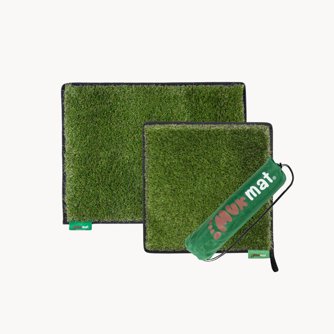 #colour_green