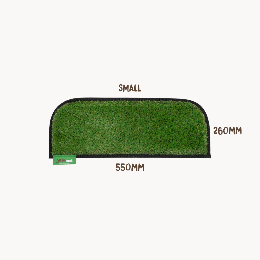 #colour_green
