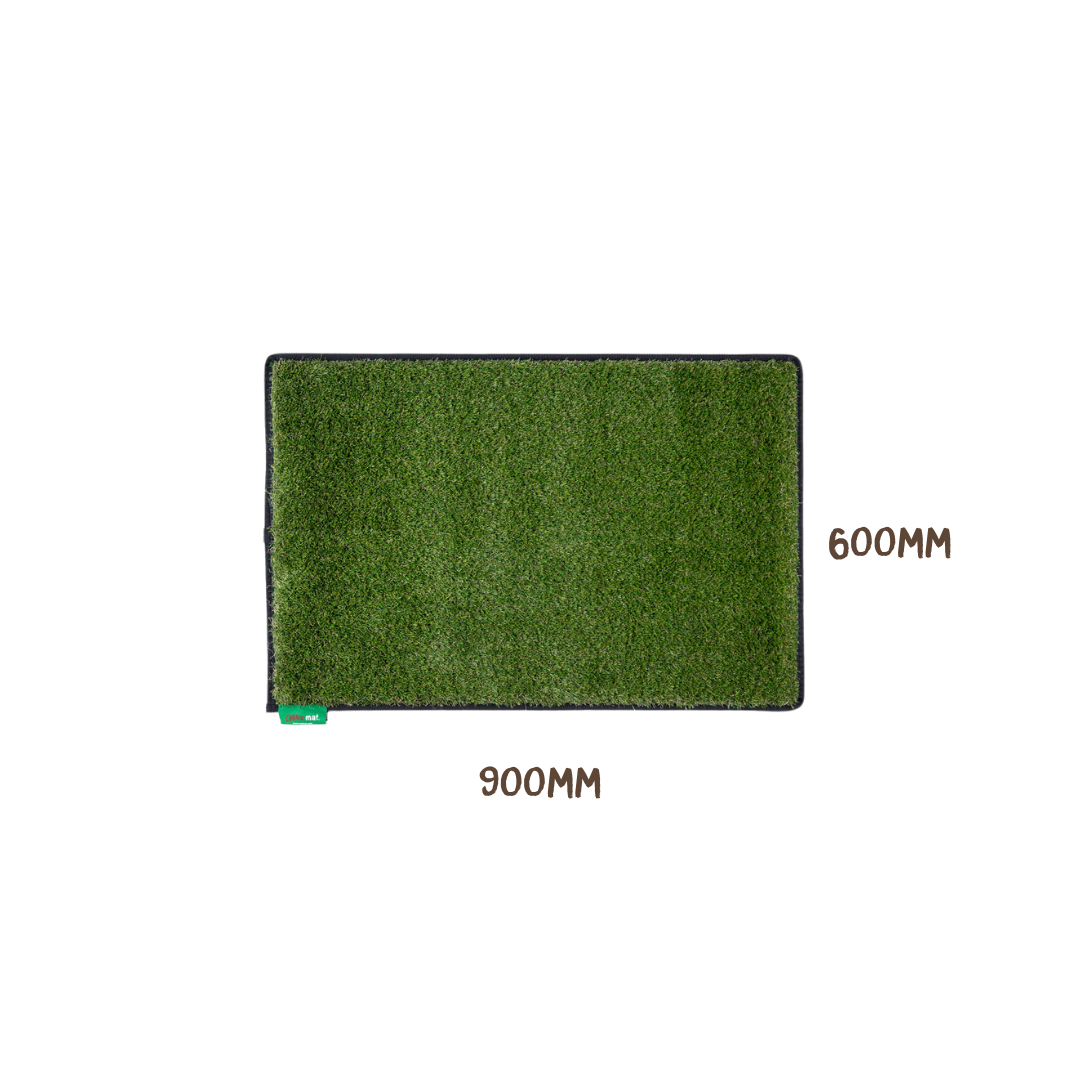 #colour_green#size_large-60cm-x-90cm