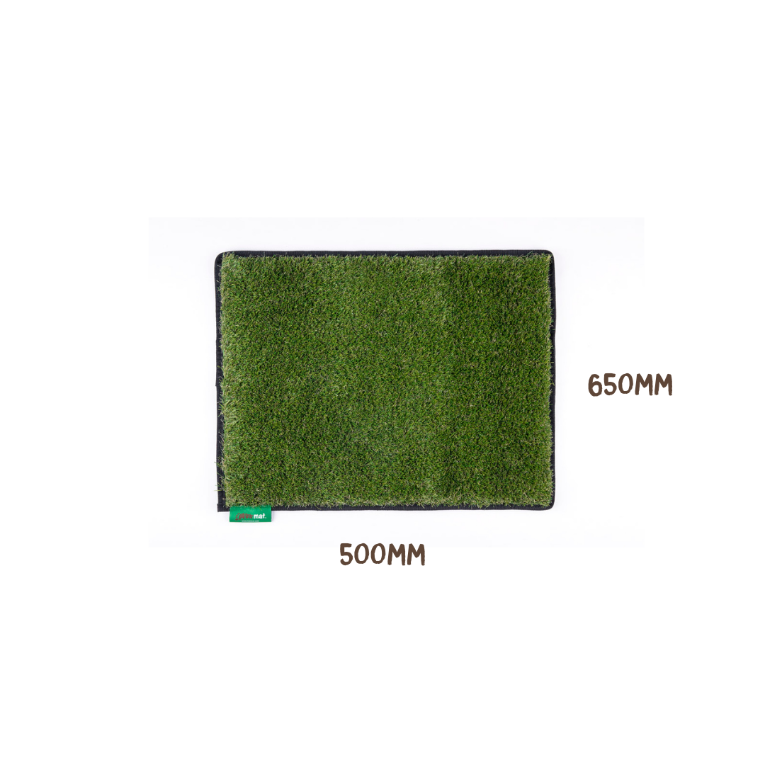 #colour_green#size_original-50cm-x-65cm
