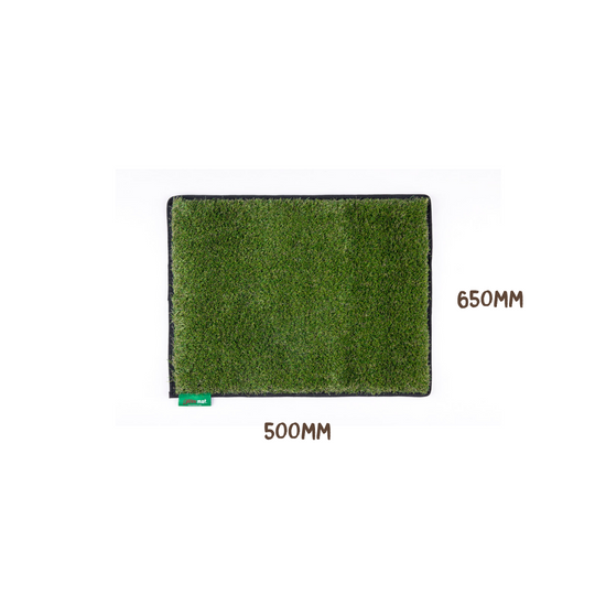 #colour_green#size_original-50cm-x-65cm
