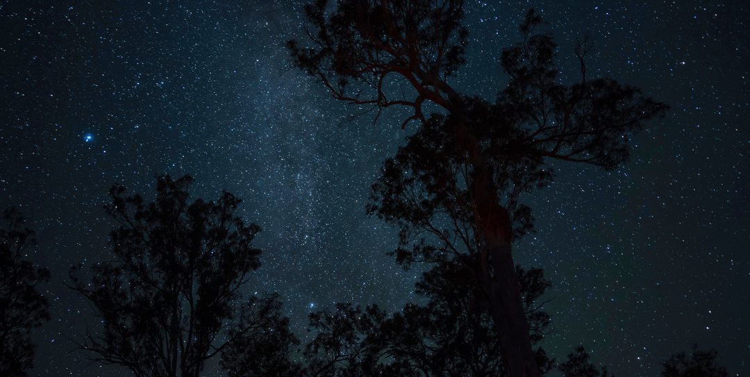 Woodleigh Station, FNQ: The Tailing Yard Campsite Full of Surprises