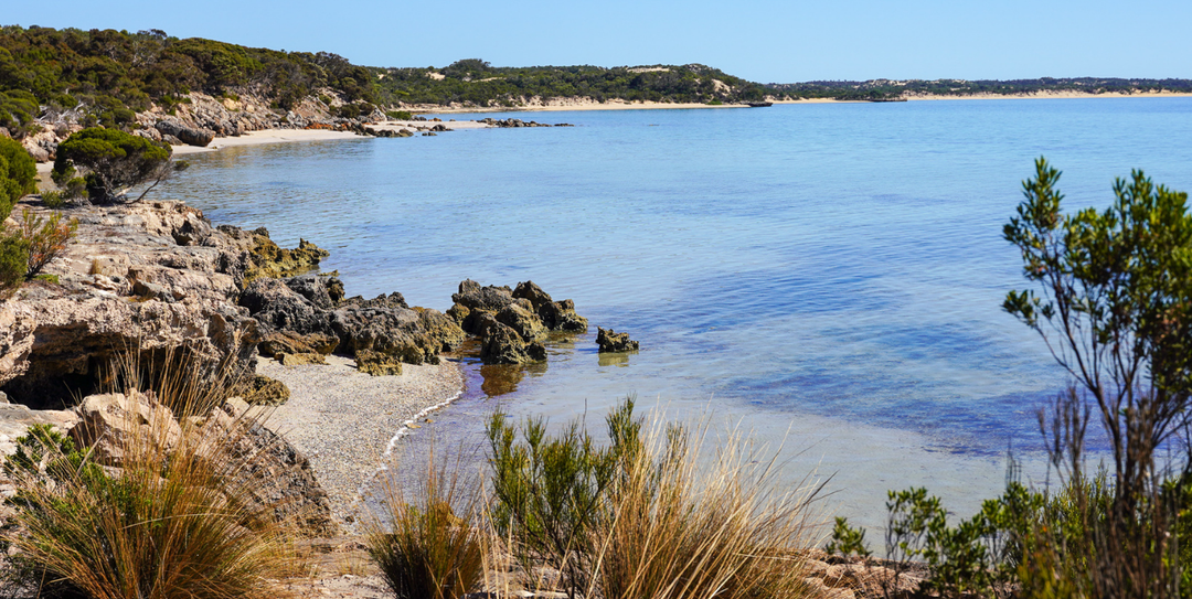 Coffin Bay National Park, SA: Clear Water, Quiet Camps & Curious Dolphins