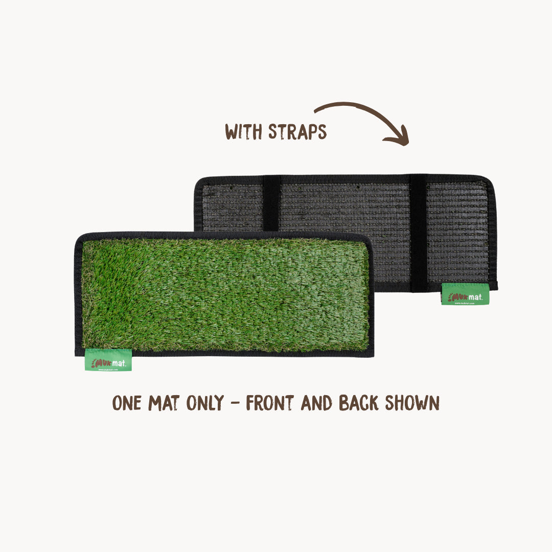 #colour_green