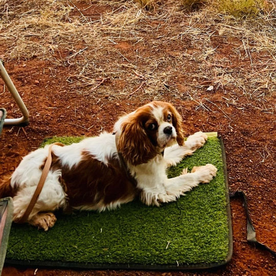 muk mat Ground Mat