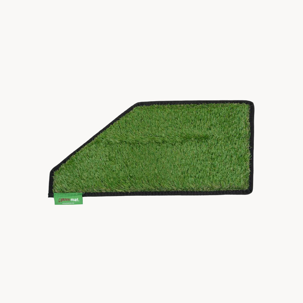 #colour_green