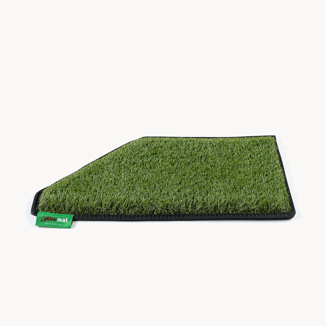 #colour_green