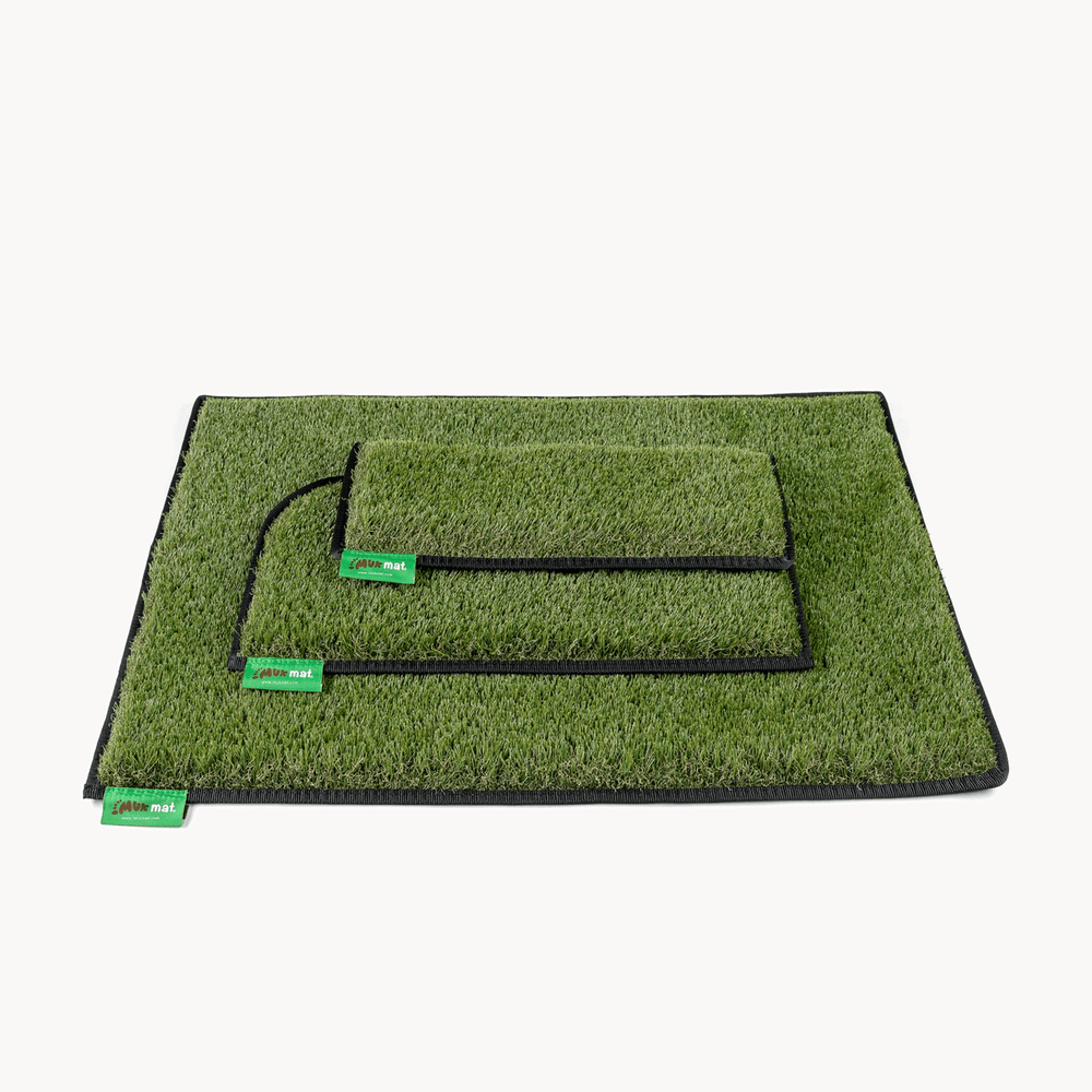 #colour_green