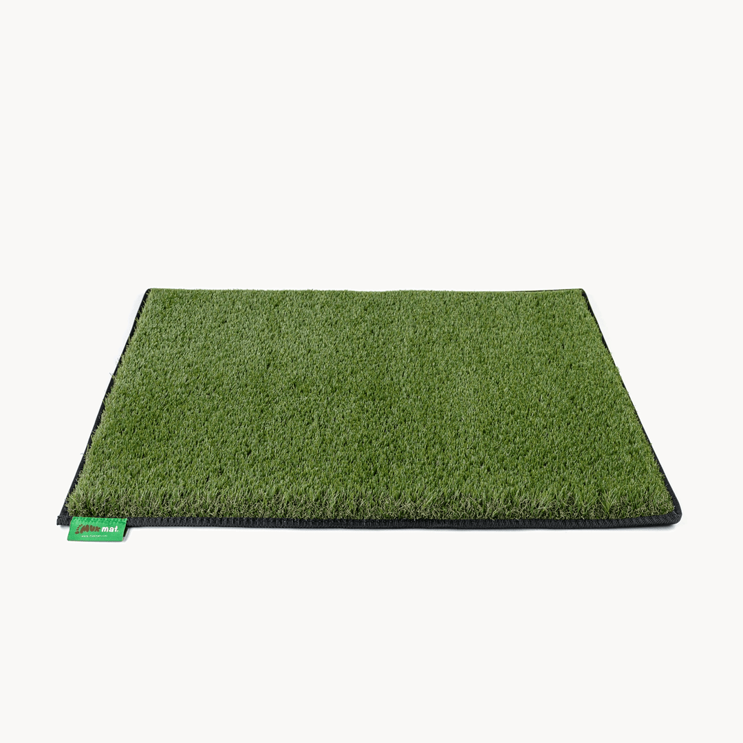 #colour_green#size_large-60cm-x-90cm