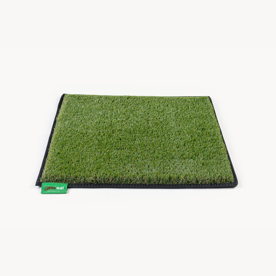 #colour_green#size_medium-19-5-25-5