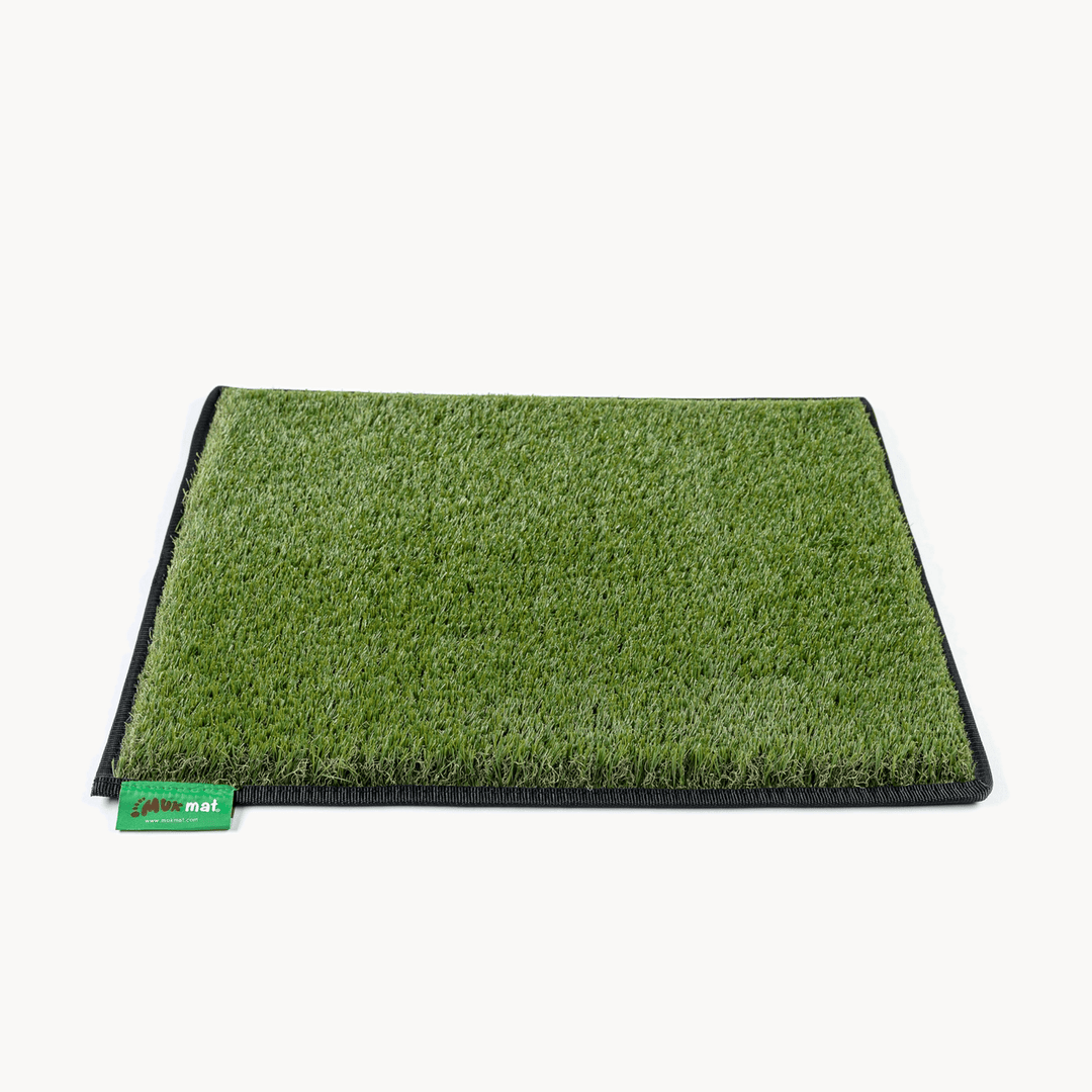 #colour_green#size_original-50cm-x-65cm