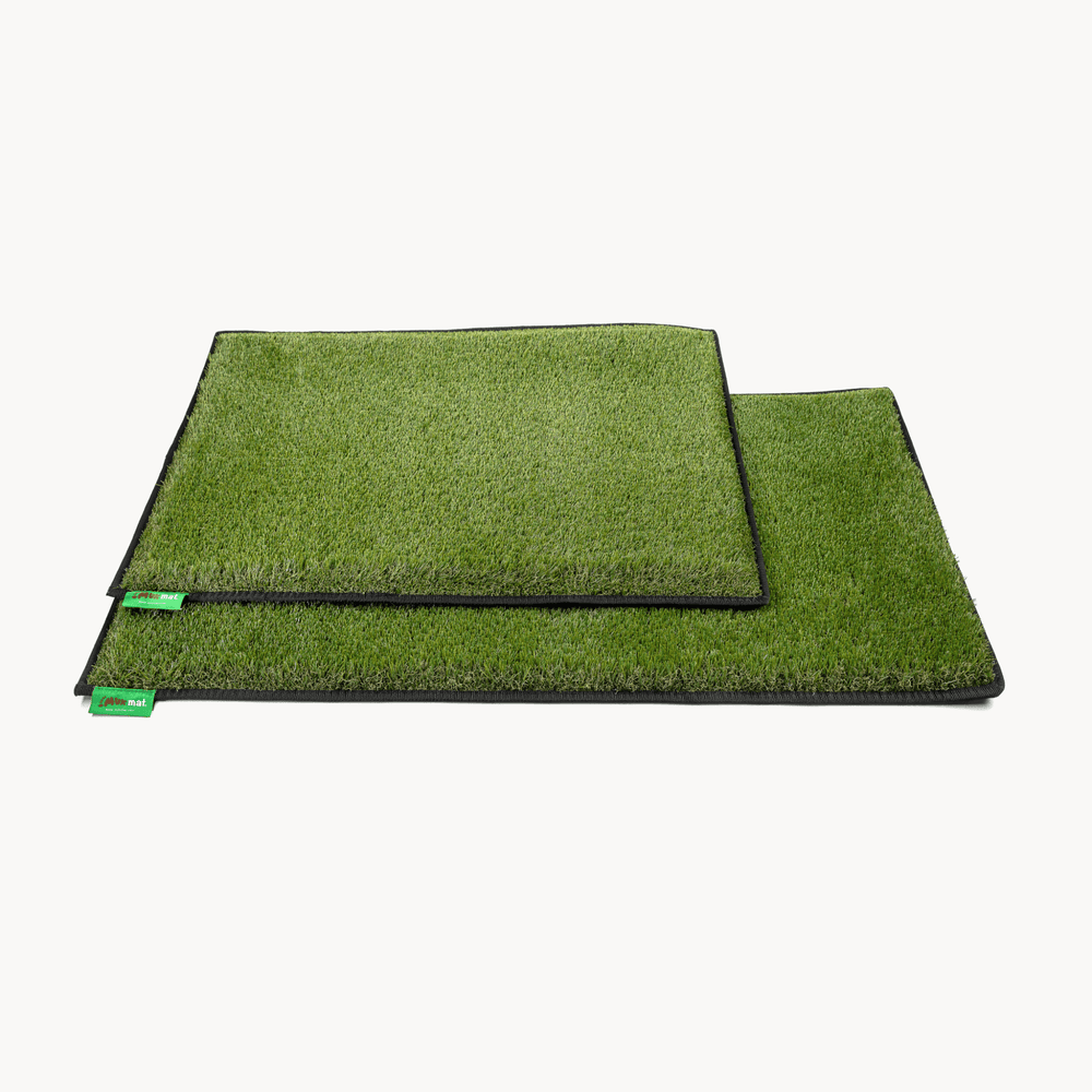 #colour_green