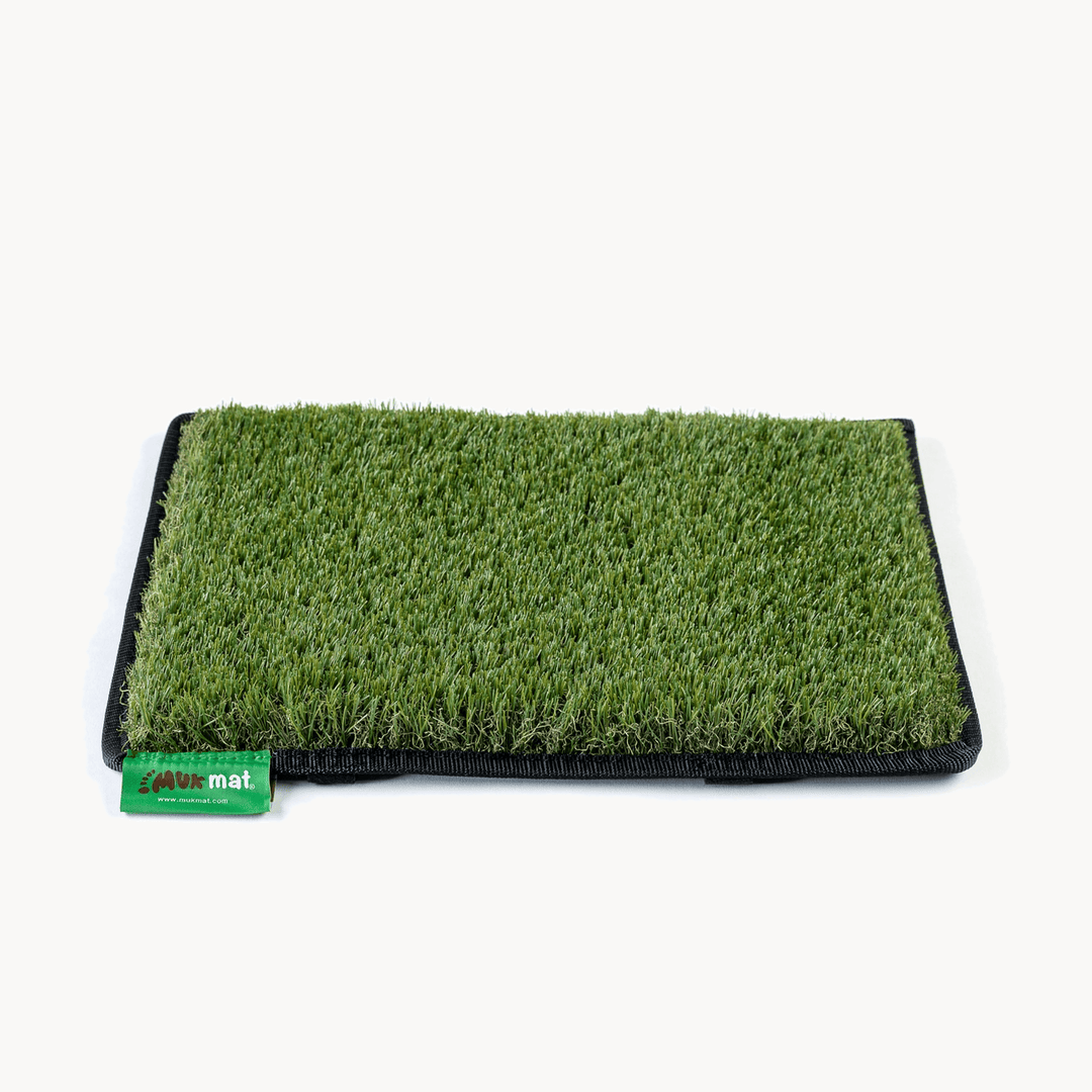 #colour_green
