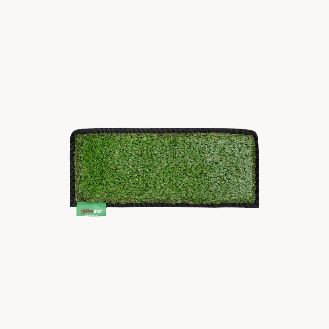 #colour_green
