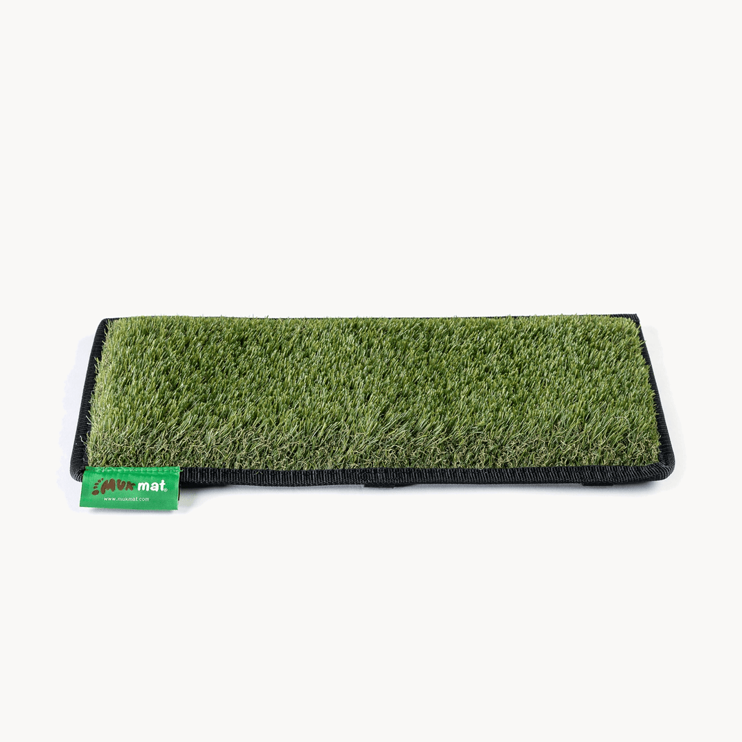 #colour_green