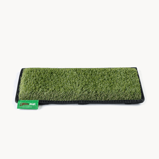 #colour_green