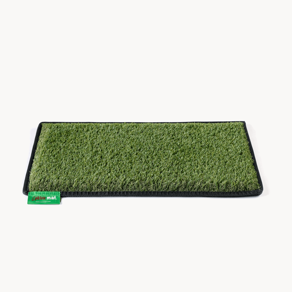 #colour_green
