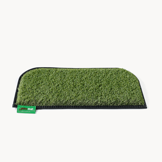 #colour_green