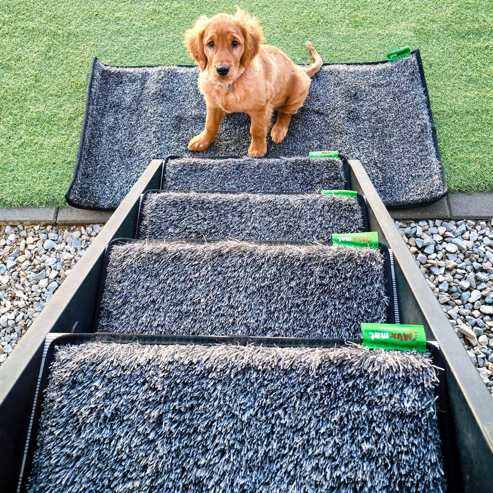 #number-of-steps_4-3-lower-steps-1-top-step#step-width_20