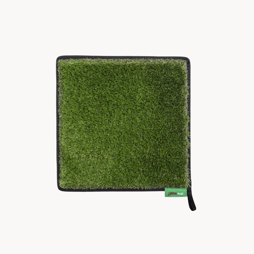 #colour_green