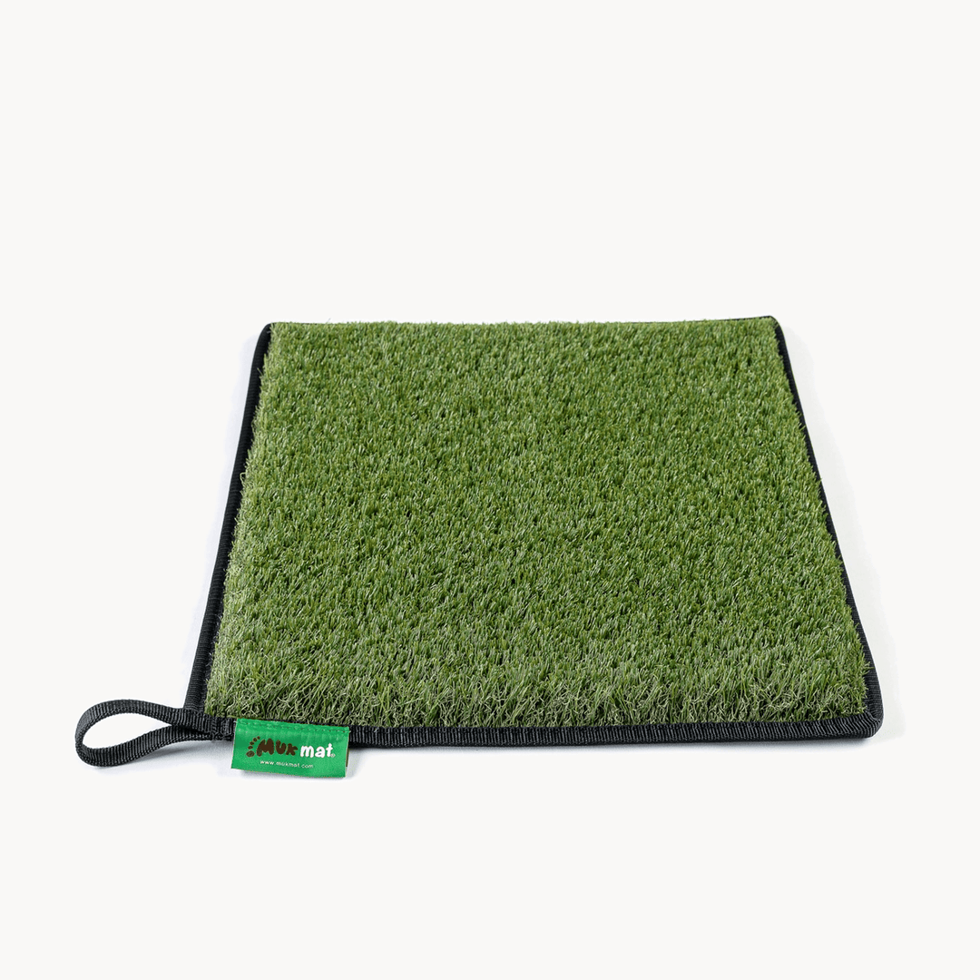 #colour_green
