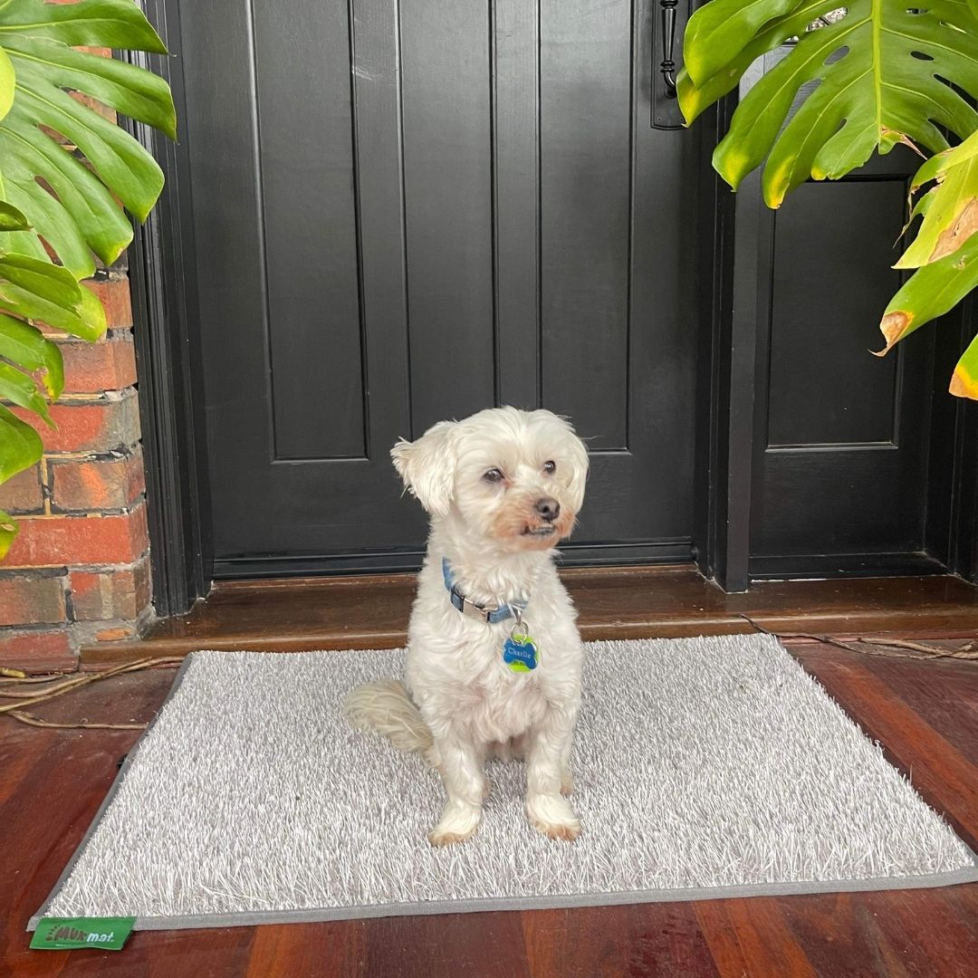 muk mat large light grey door mat for pets